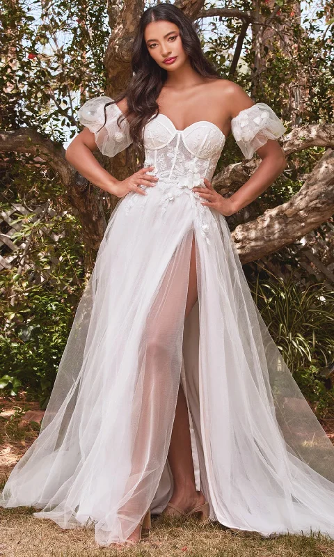 Hurry, Don’t Miss Out Cinderella Divine CB080W
